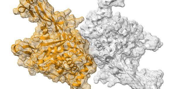 découvrez le fonctionnement fascinant de l'intelligence artificielle quantique, une technologie révolutionnaire qui combine les principes de la mécanique quantique avec l'apprentissage automatique pour résoudre des problèmes complexes à une vitesse sans précédent.